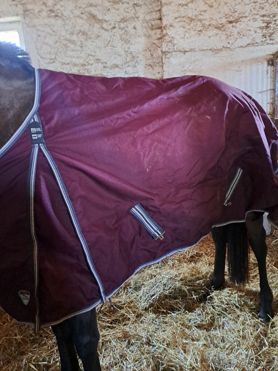 Mnoho věcí na kone - 2