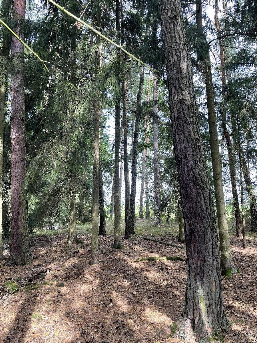 Prodám pozemky v k.ú. Drahov - 2