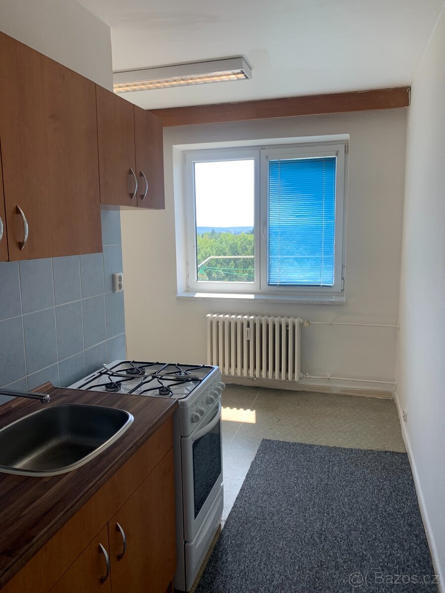 Pronájem 1+1 Orlová - 2
