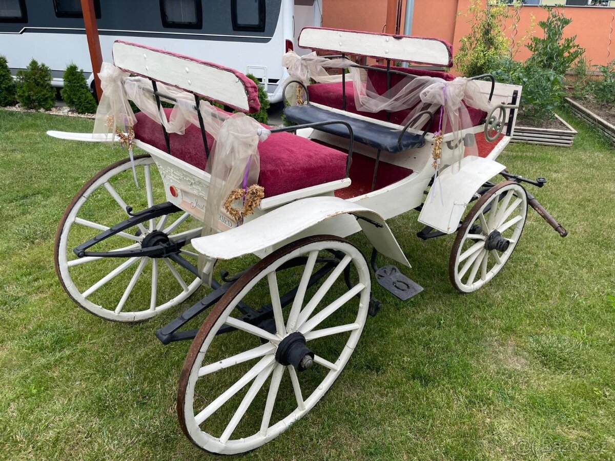 KOČÁRY, BRYČKY ZA KONĚ - 2