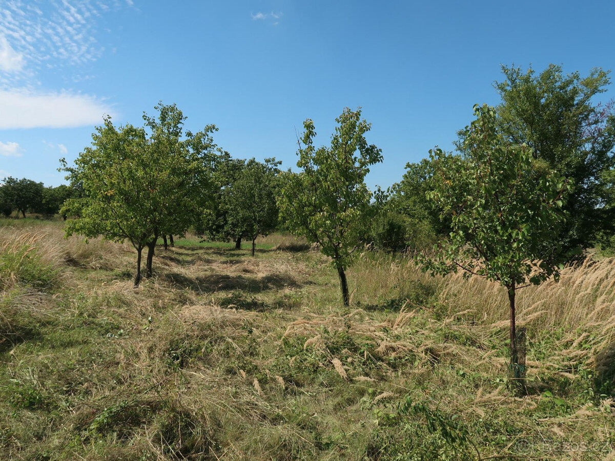 Pozemek Velké Pavlovice - 2