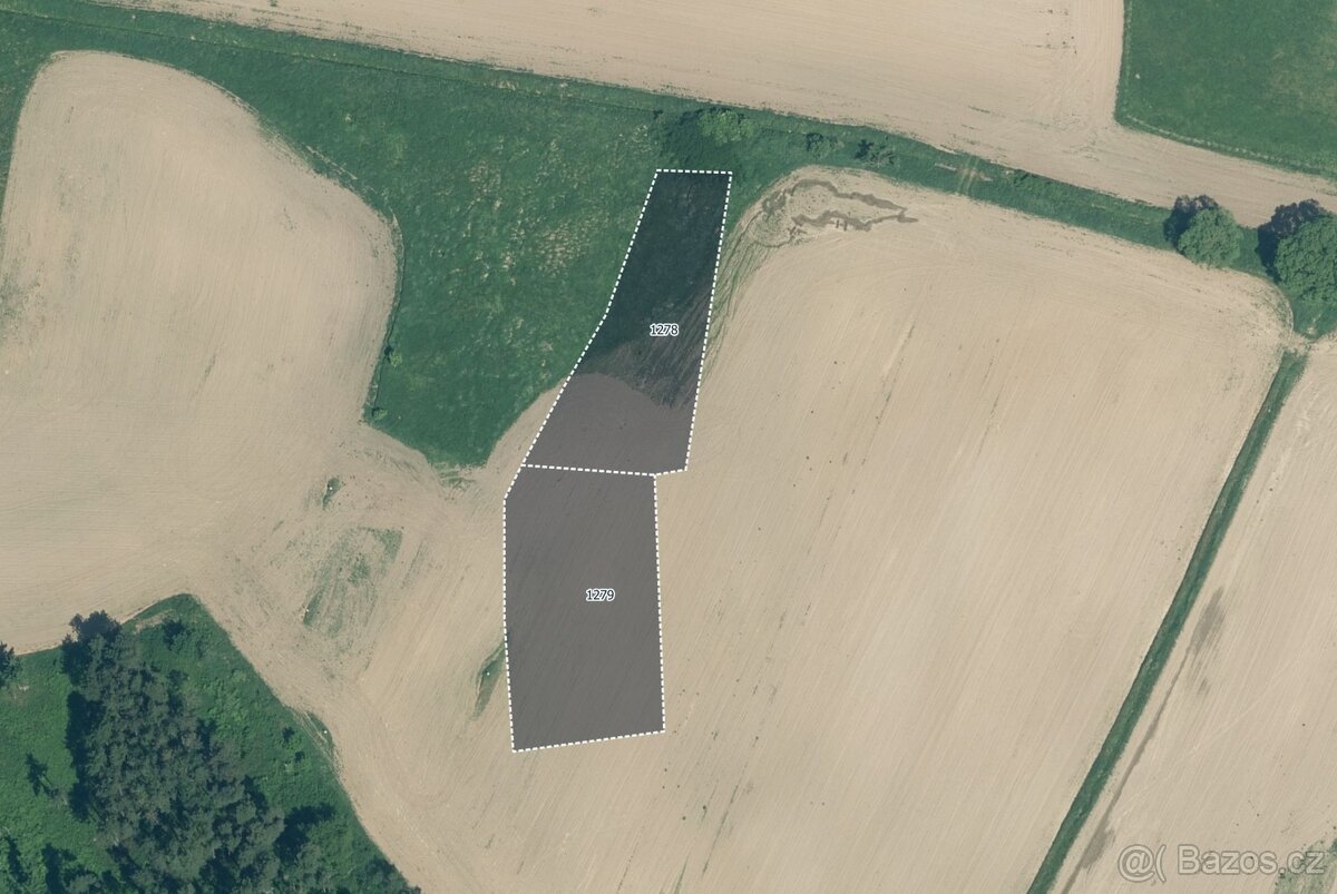 Zemědělská půda, prodej, Velký Bor, Klatovy - 2