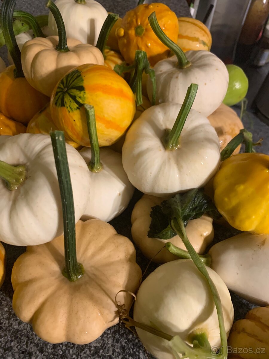 Ozdobné dýně - 2