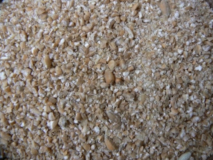 Šrot - pšenice, kukuřice, ječmen, hrách - 2