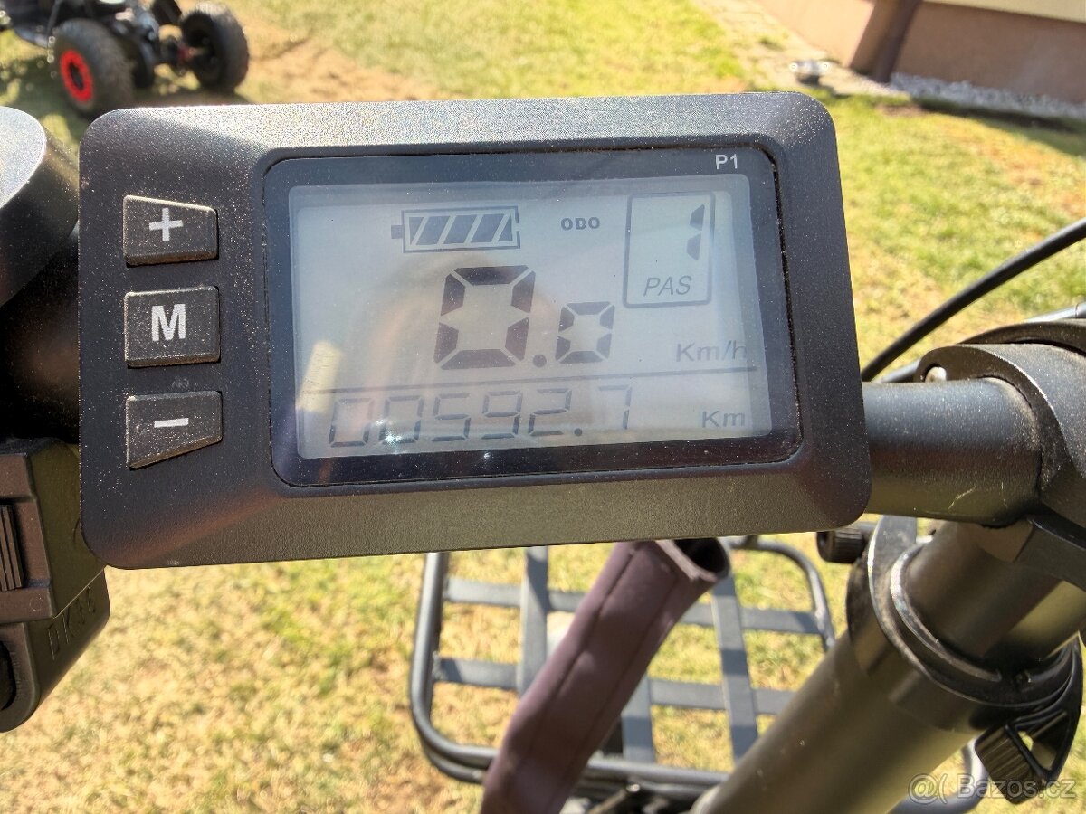 Elektokolo Baolujie DZ2030 - 2