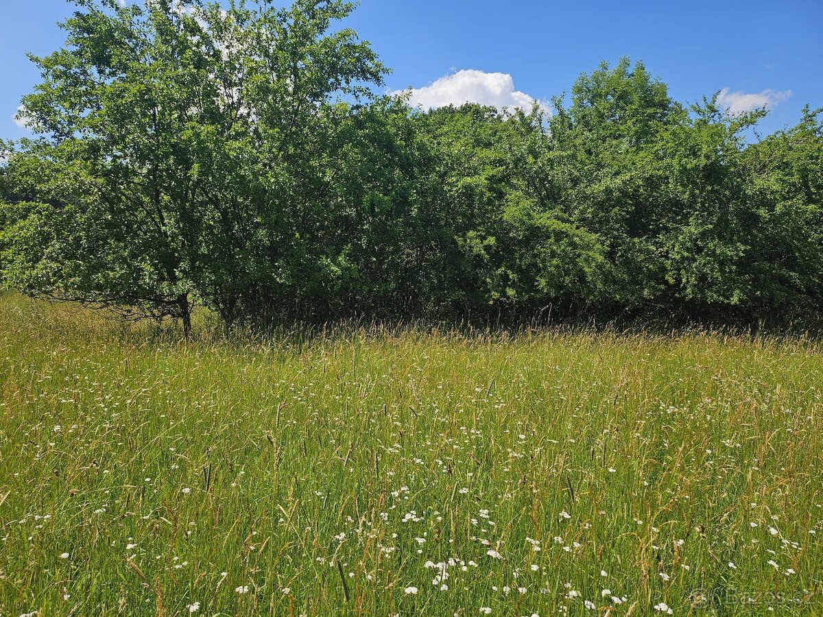 Prodej pole 16 229 m², Boseň, ev.č. 10147 - 2