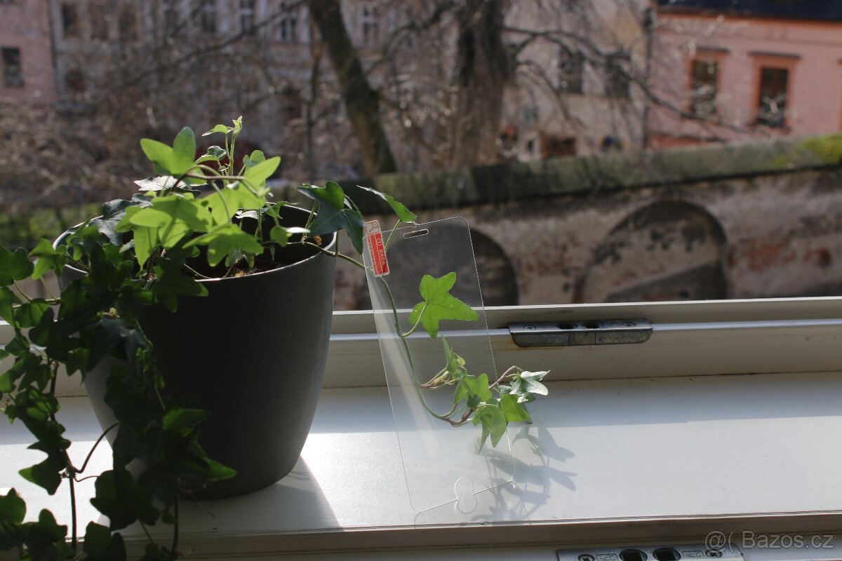 Ochranné sklo iphone 7 plus & 8 plus - 2