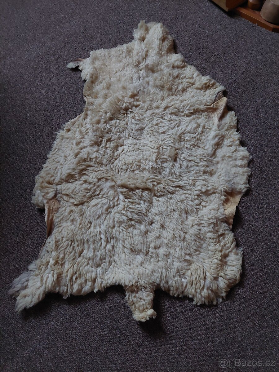 Ovčí kůže - 2