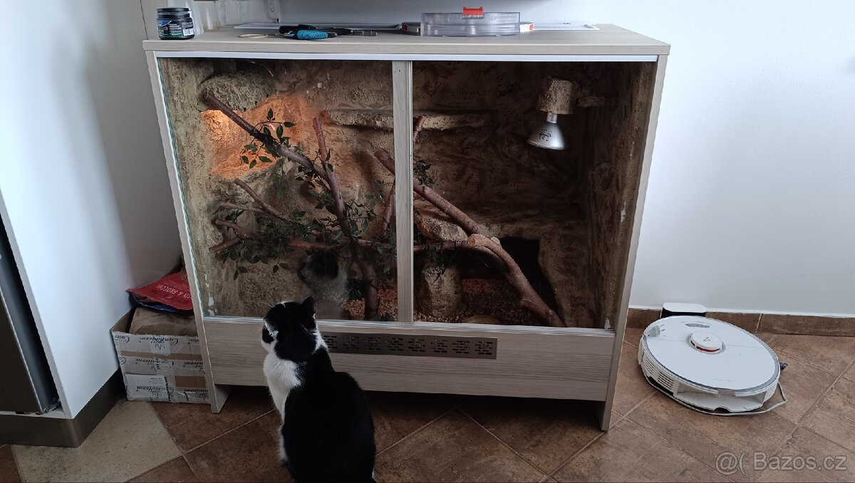 Terárium pro Agamy - 2