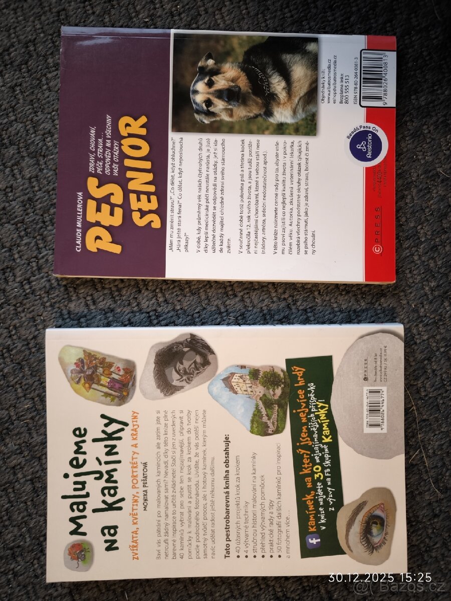 Pes senior, Malujeme kamínky - 2