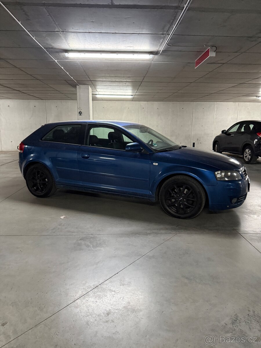 Audi A3 8P 1.9 TDI - 2