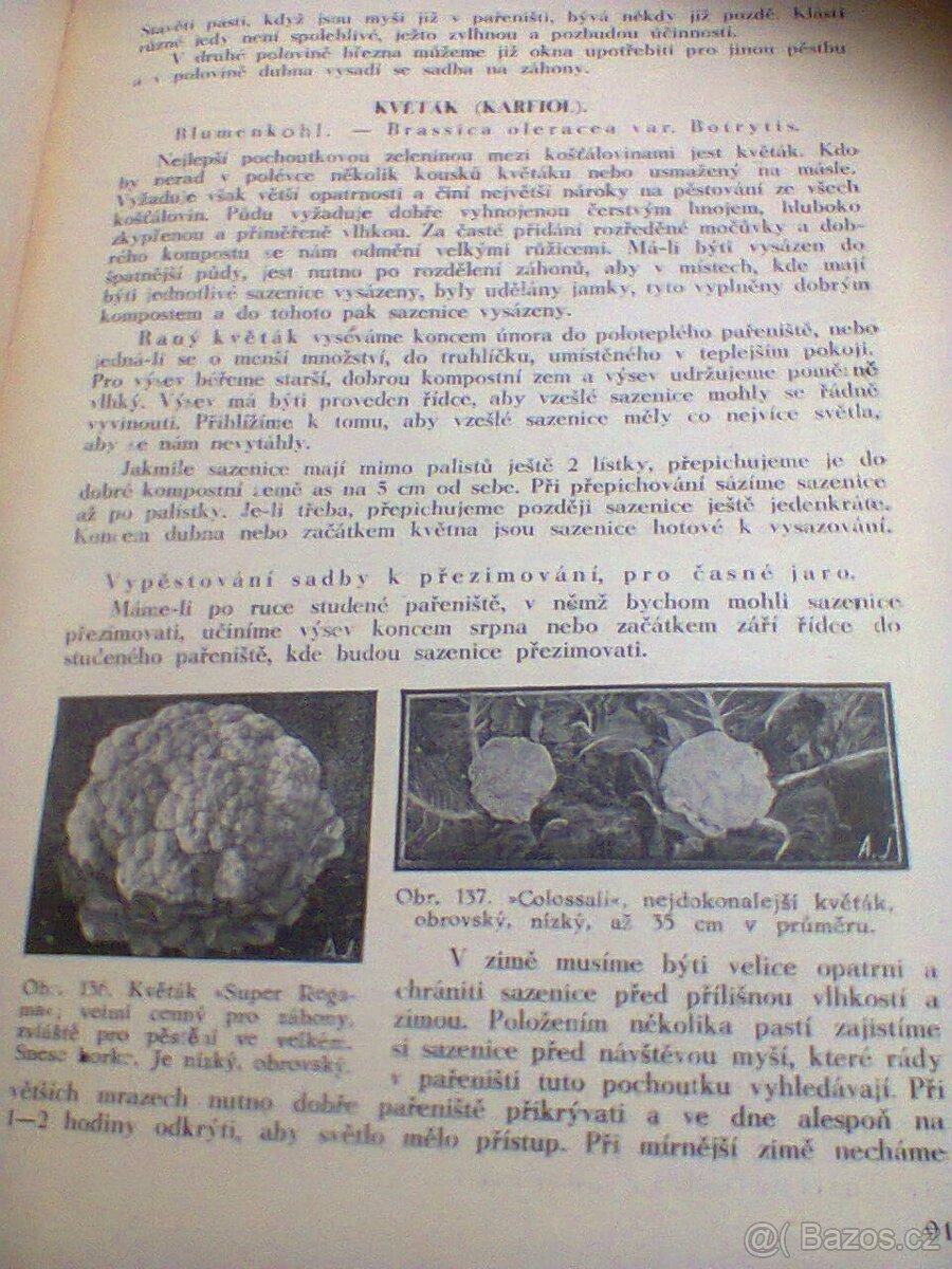 Josef Vaněk Více zeleniny v zahrádce - 2