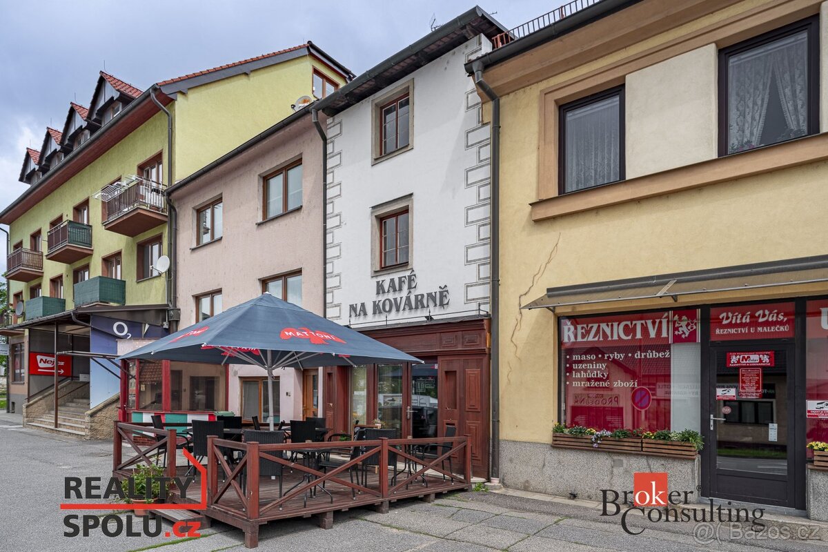 Prodej, domy/rodinný, 212 m2, Hornoměstská 391/44, 59401 Vel - 2