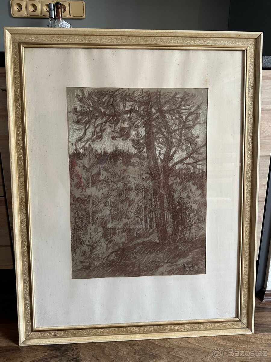 J.R.Schuster obraz Borovice - 2