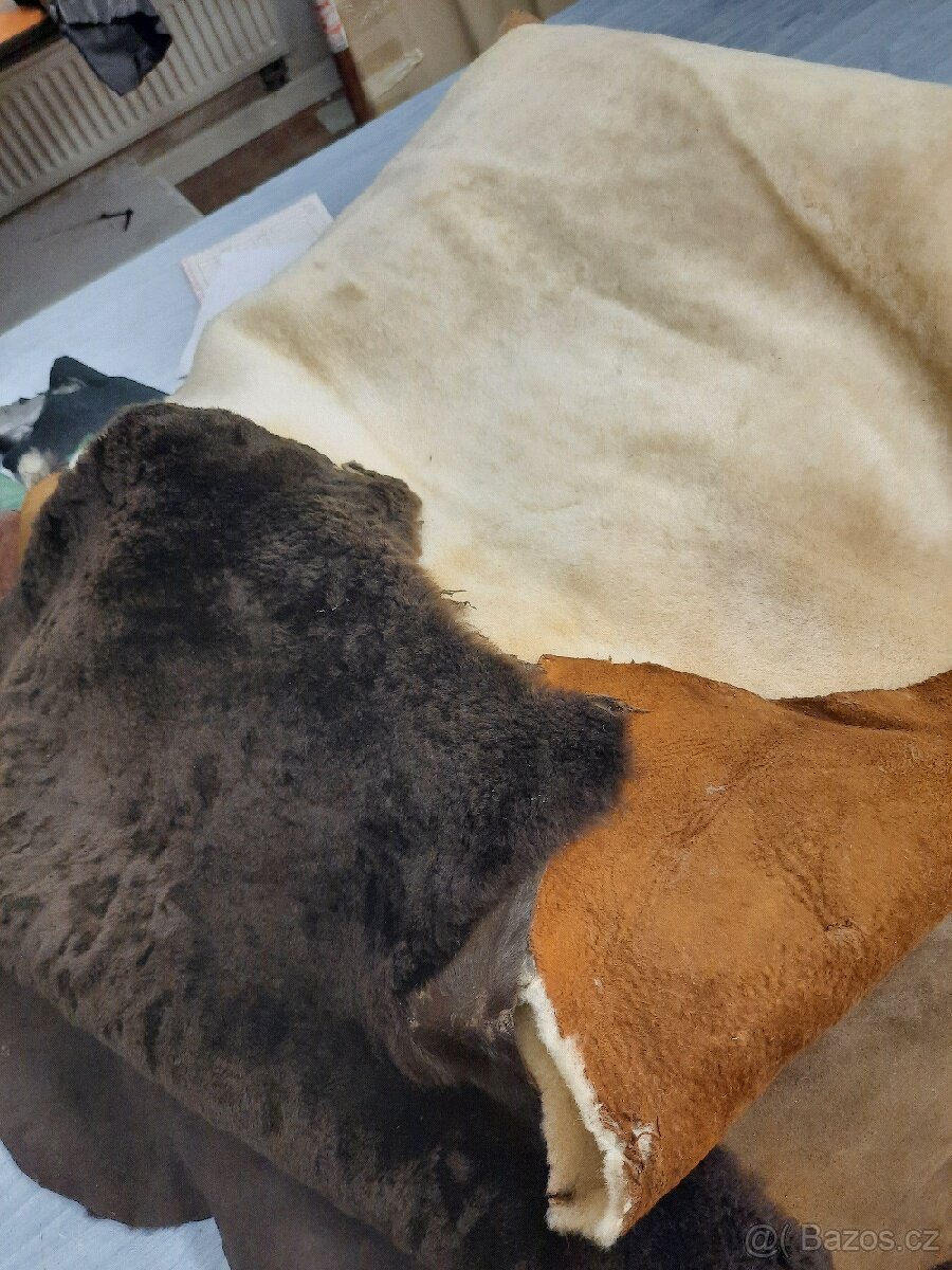 Kůže ,usně-Oděvní ,galanterní kůže , usně - 2