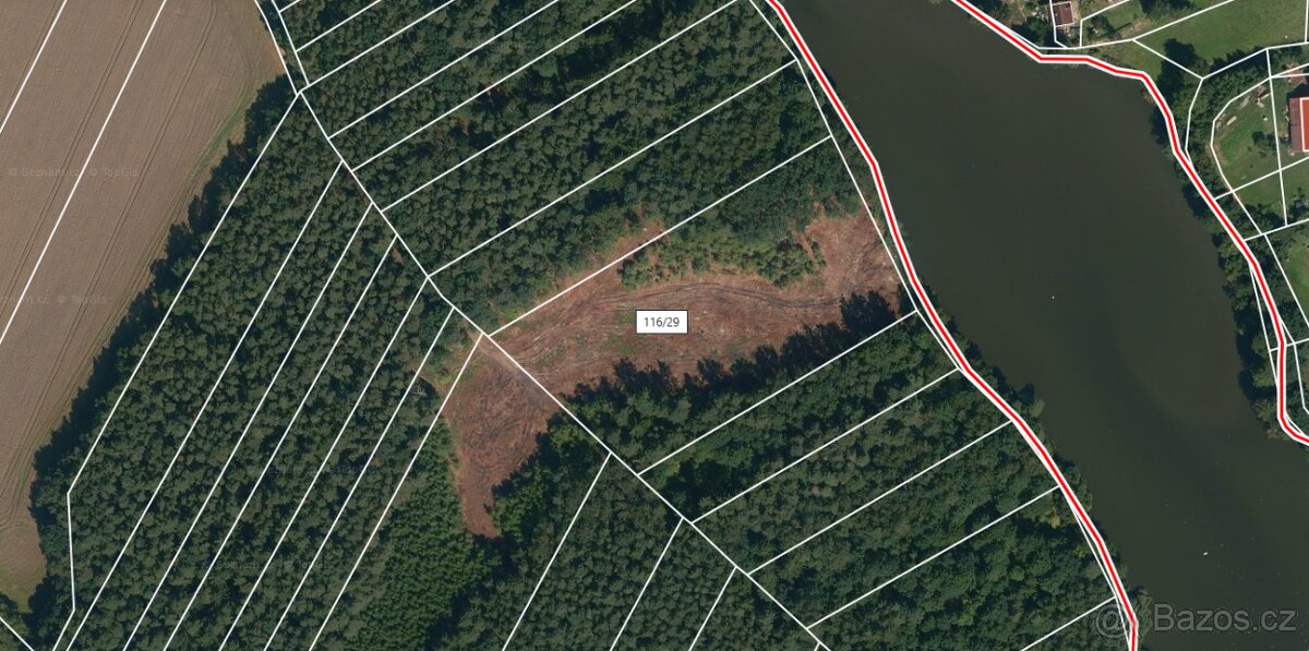 Prodej lesa u Bernartic - 2