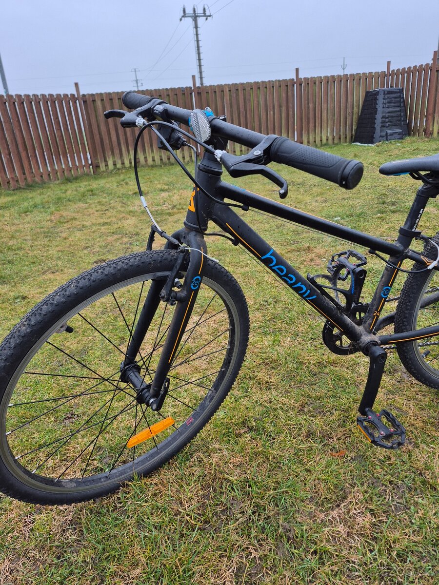 Prodám Beany 24 - 2