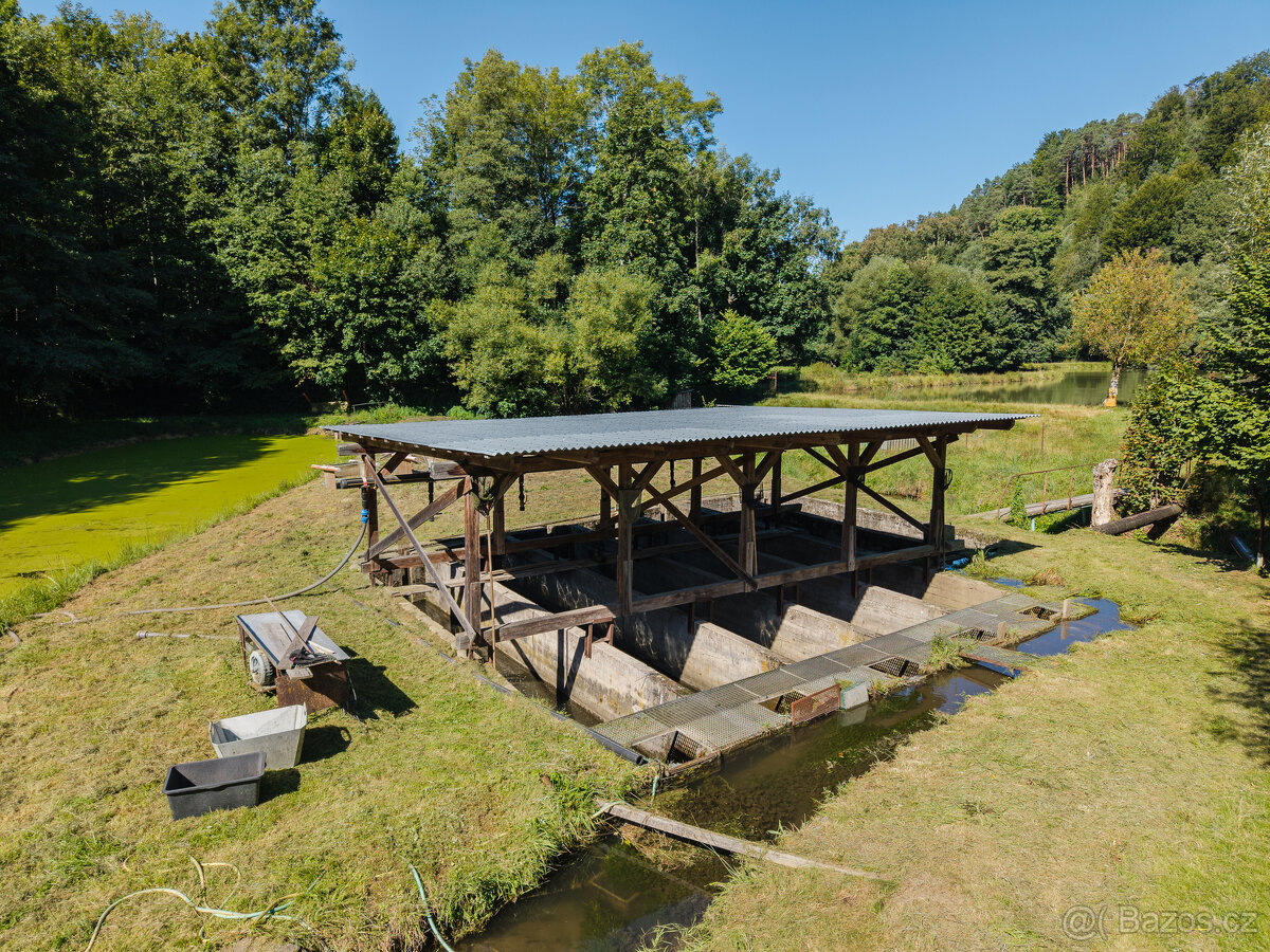 Pronájem rybích sádek, Nové Hrady - 2