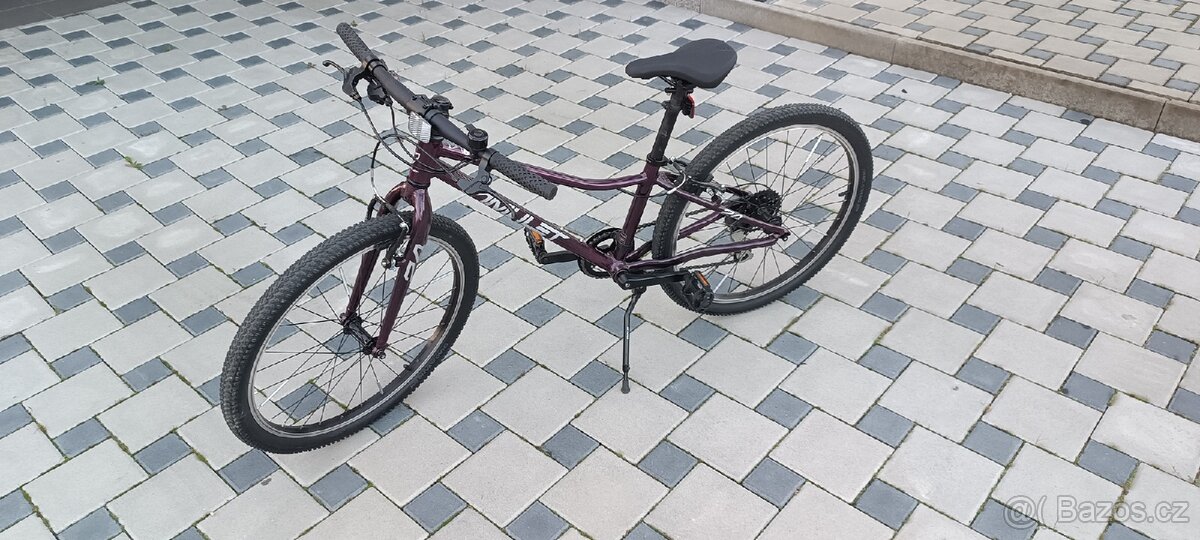 Dětské kolo Amulet 24 Tomcat - 2