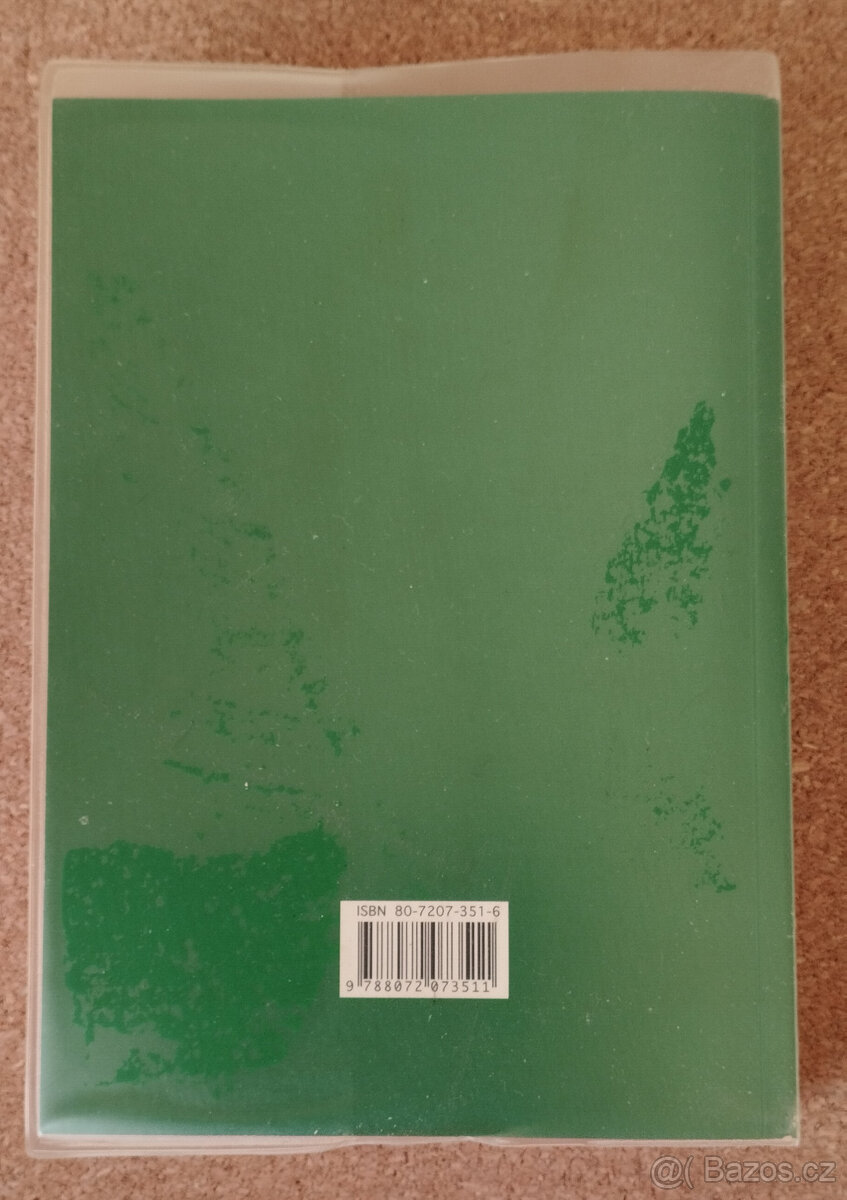 Amber Jayanti Tarot v životě - 2