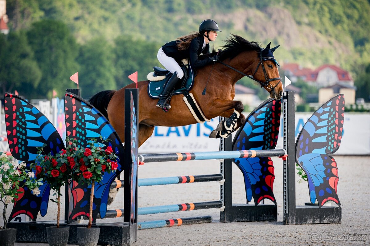Sepík - stáj, kde se váš talent rozvine naplno - 2