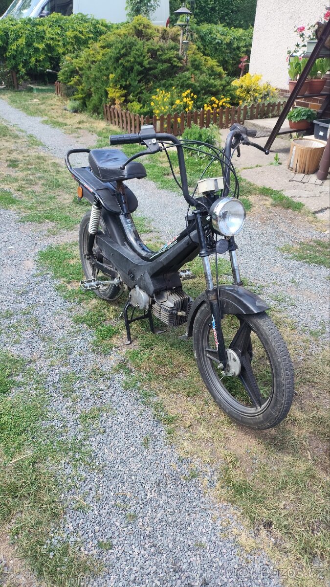 manet korado bez tp❗ - 2