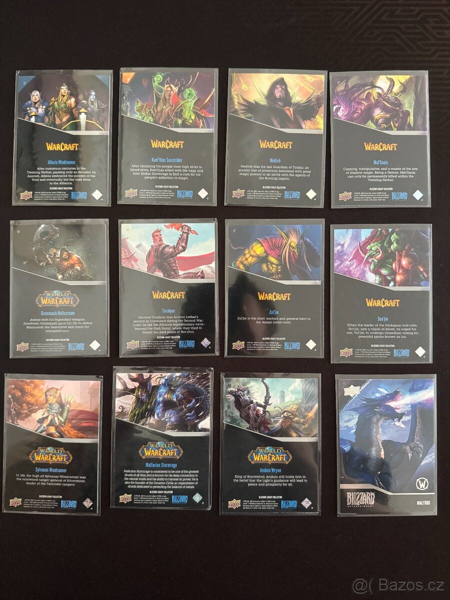 Blizzard Upper Deck karty - 2