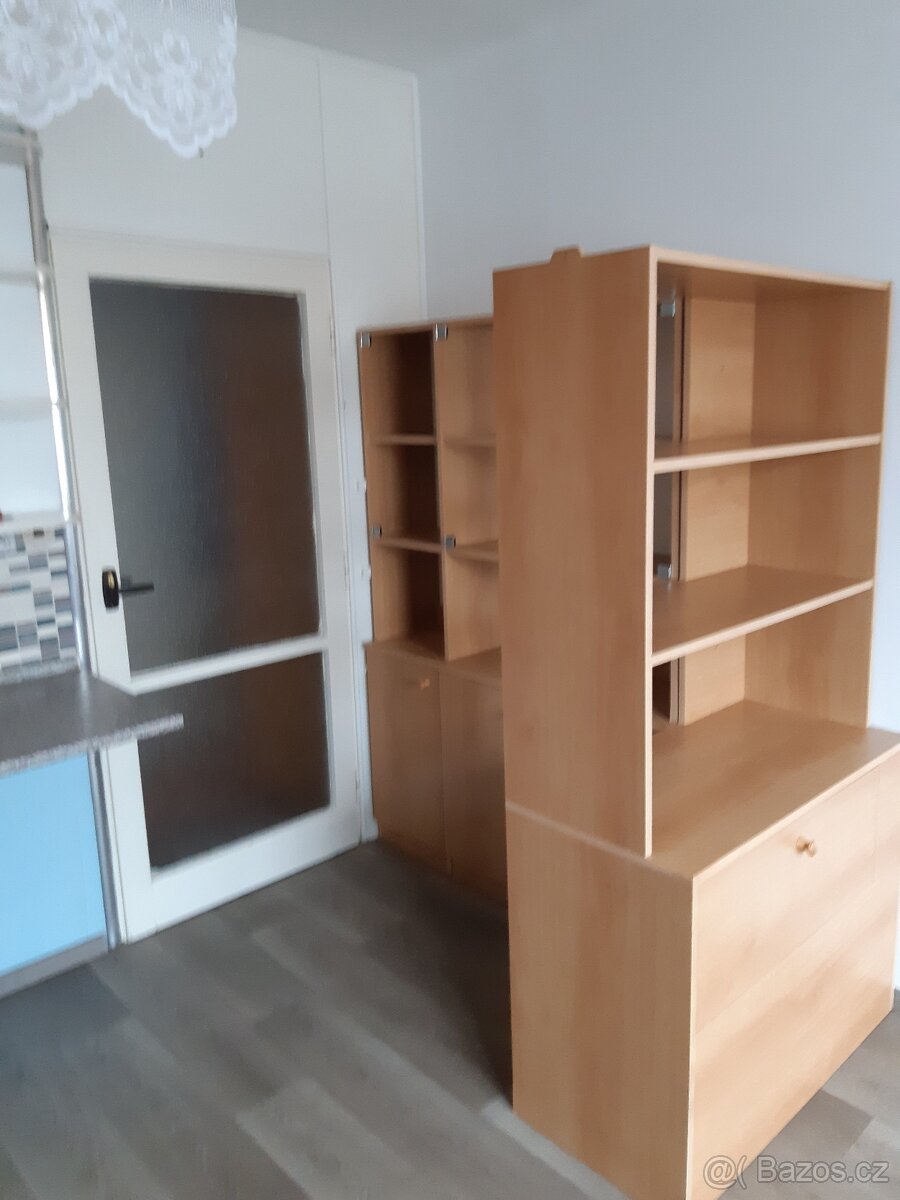 Pronájem bytu 1+kk - 2