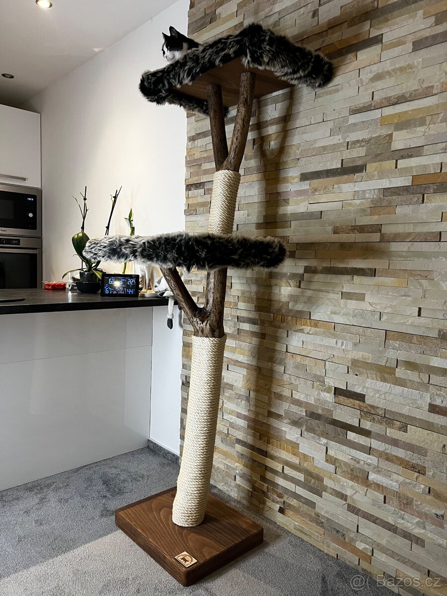 Kočičí stromy - 2