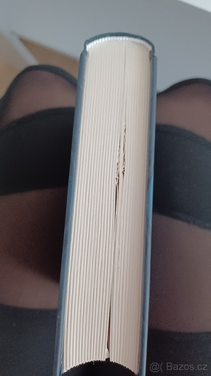 Veštkyňa a dobyvateľ Carissa Broadbent - 2