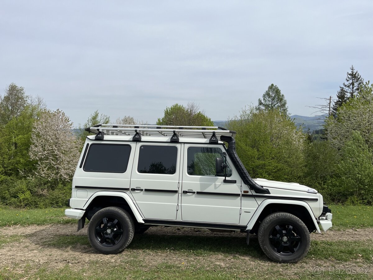 Mercedes Benz G 300 cdi Professional