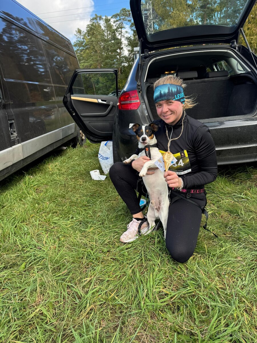 Jack Russell teriér - 2