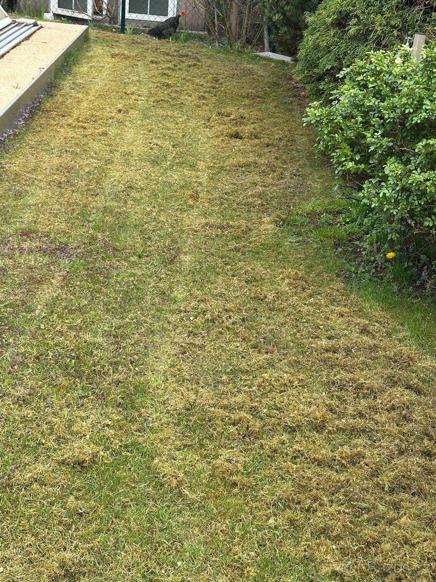 Provzdušnění trávníku - 2