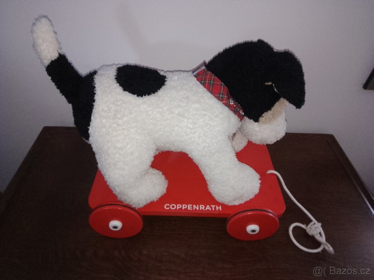 V Ý P R O D E J ... Pejsek na kolečkách. - 2