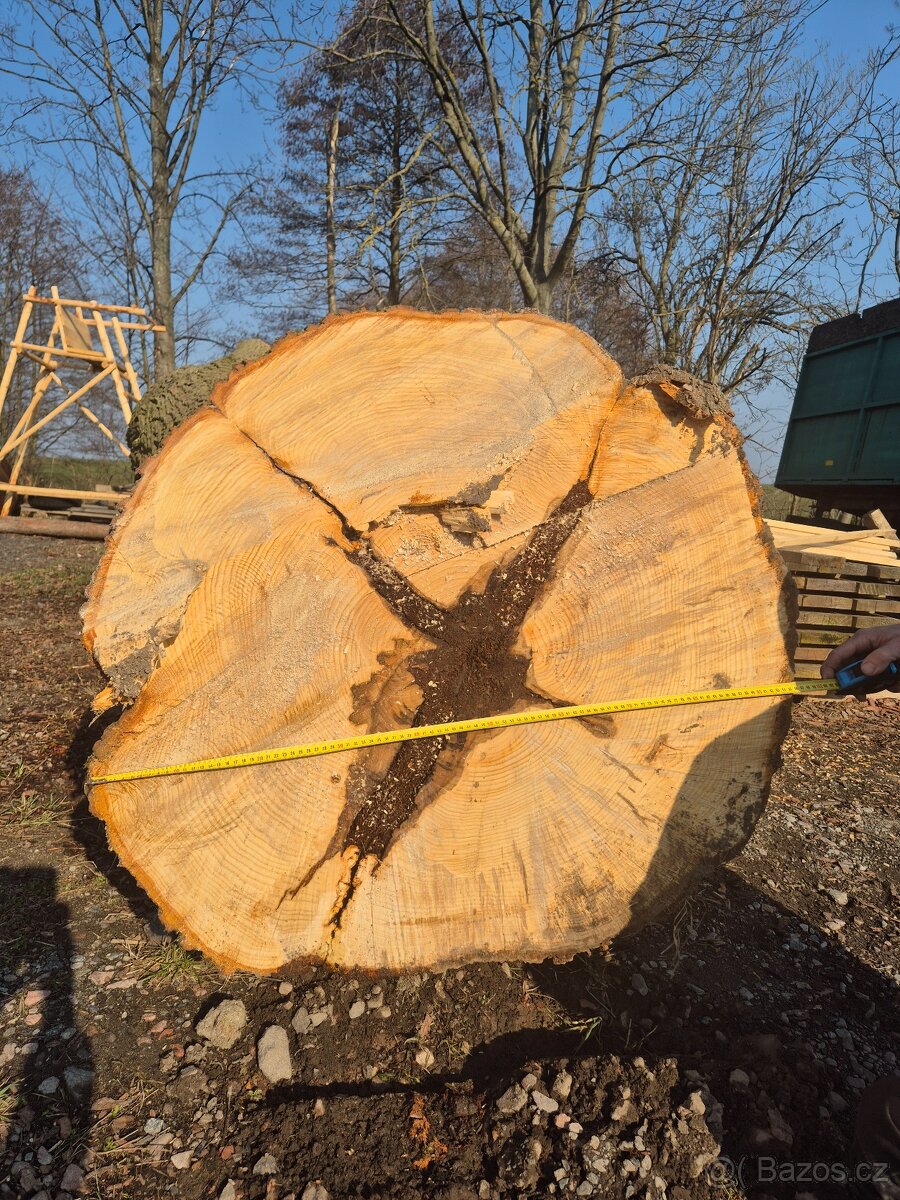 Kmen Lípy - 2