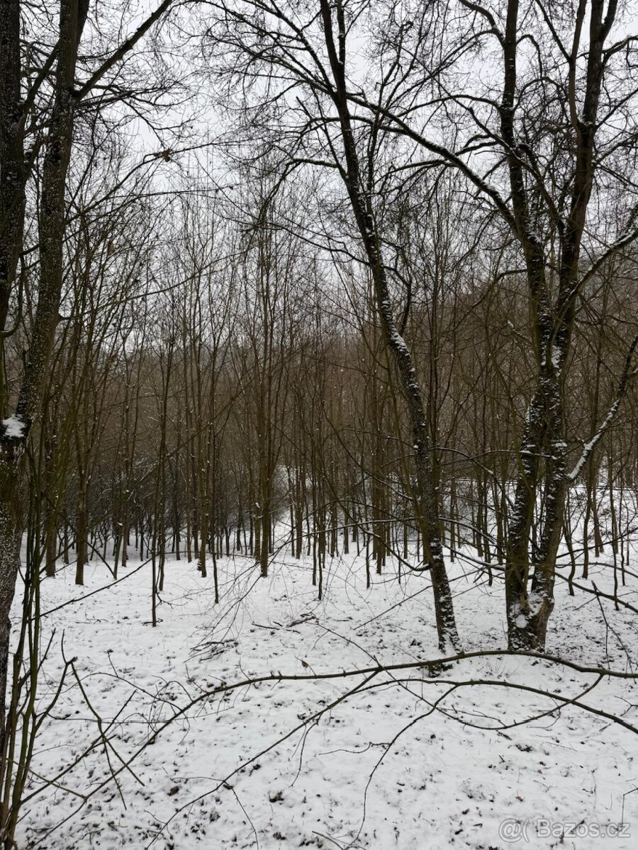 Prodej pozemků k.ú. Chotiměř + k.ú. Velemín - 2