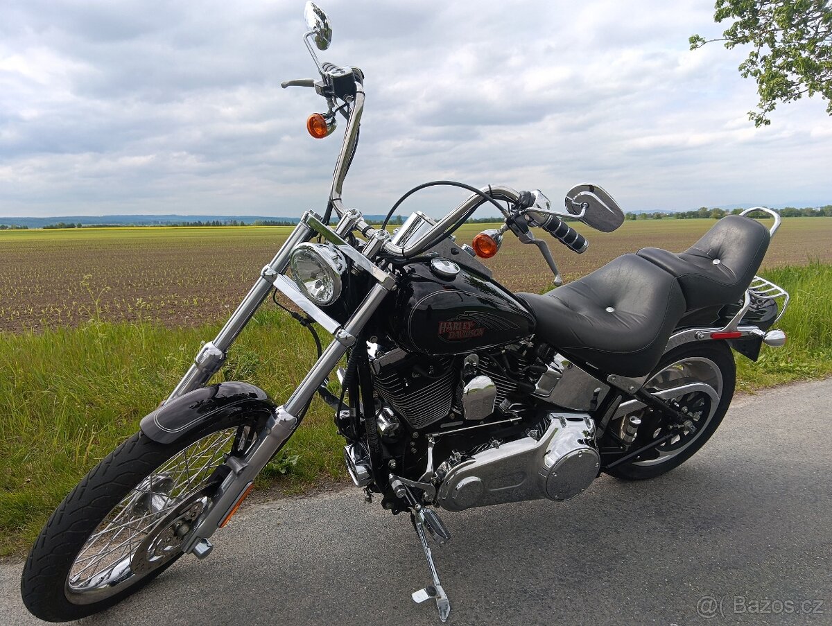 HARLEY DAVIDSON FXSTC softail custom - 2