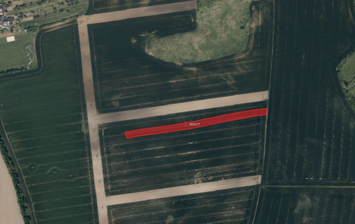 Zemědělská půda, prodej, Syrovín, Hodonín - 2