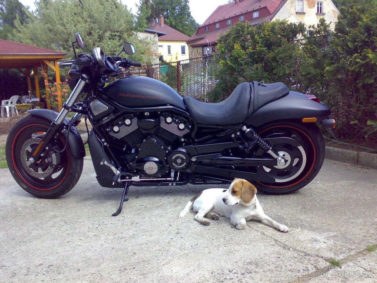 Harley-Davidson Night Rod Special - 2