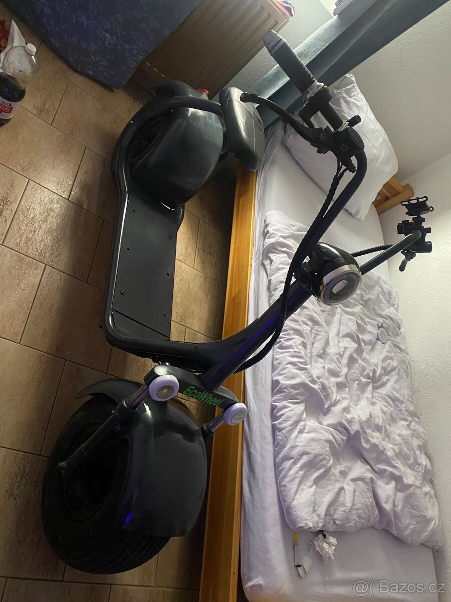 ecowheel chopper - 2