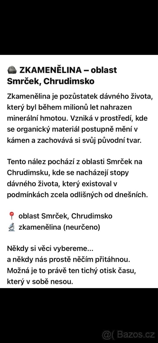 Fosilie - 2