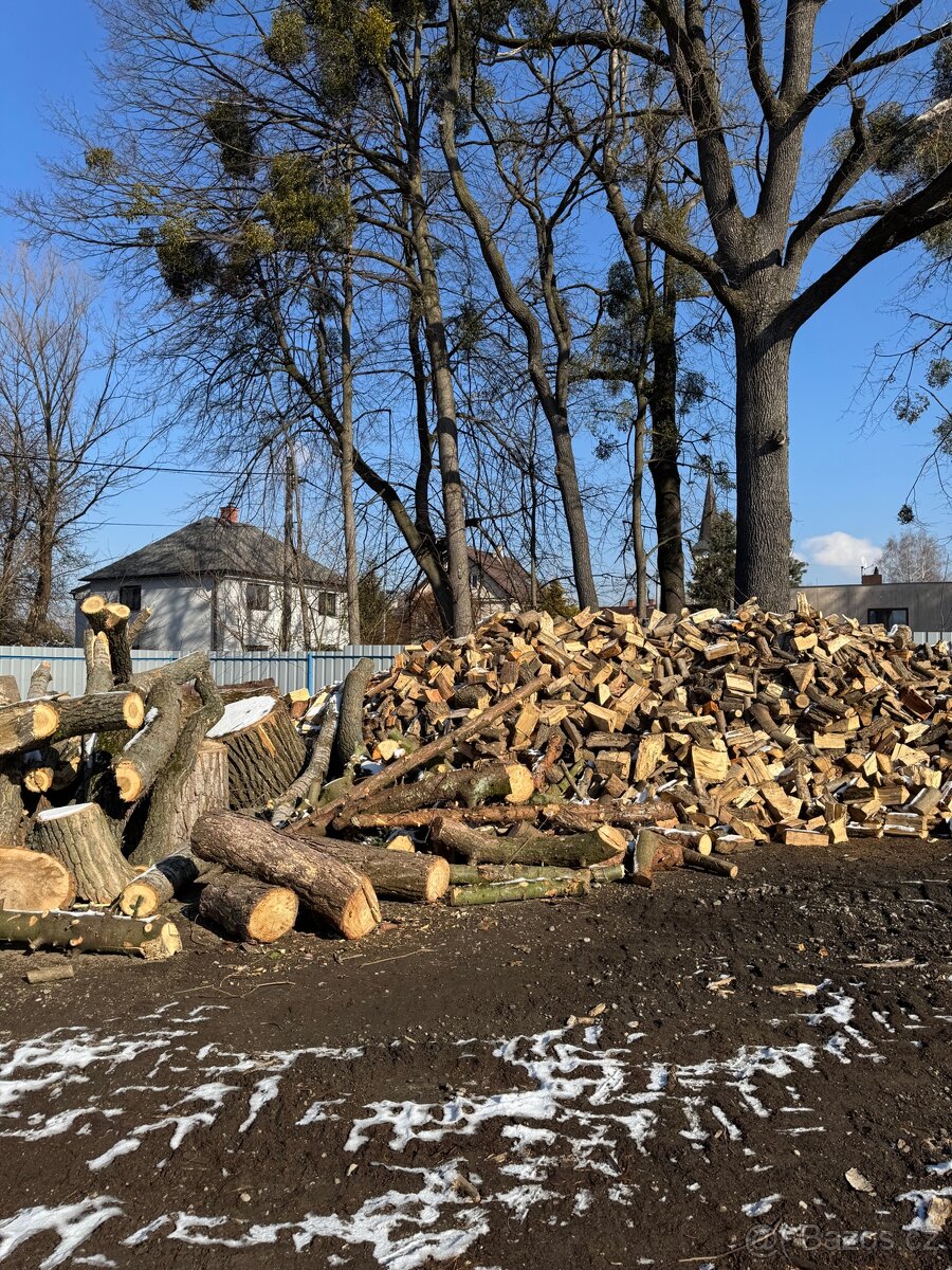 Prodej štípaného dřeva nebo kulatina - 2