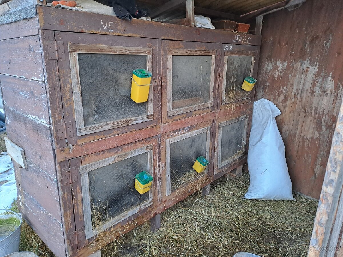 Šestikotcová králíkárna - 2