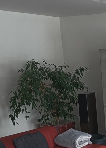 Velký Benjamin - 2