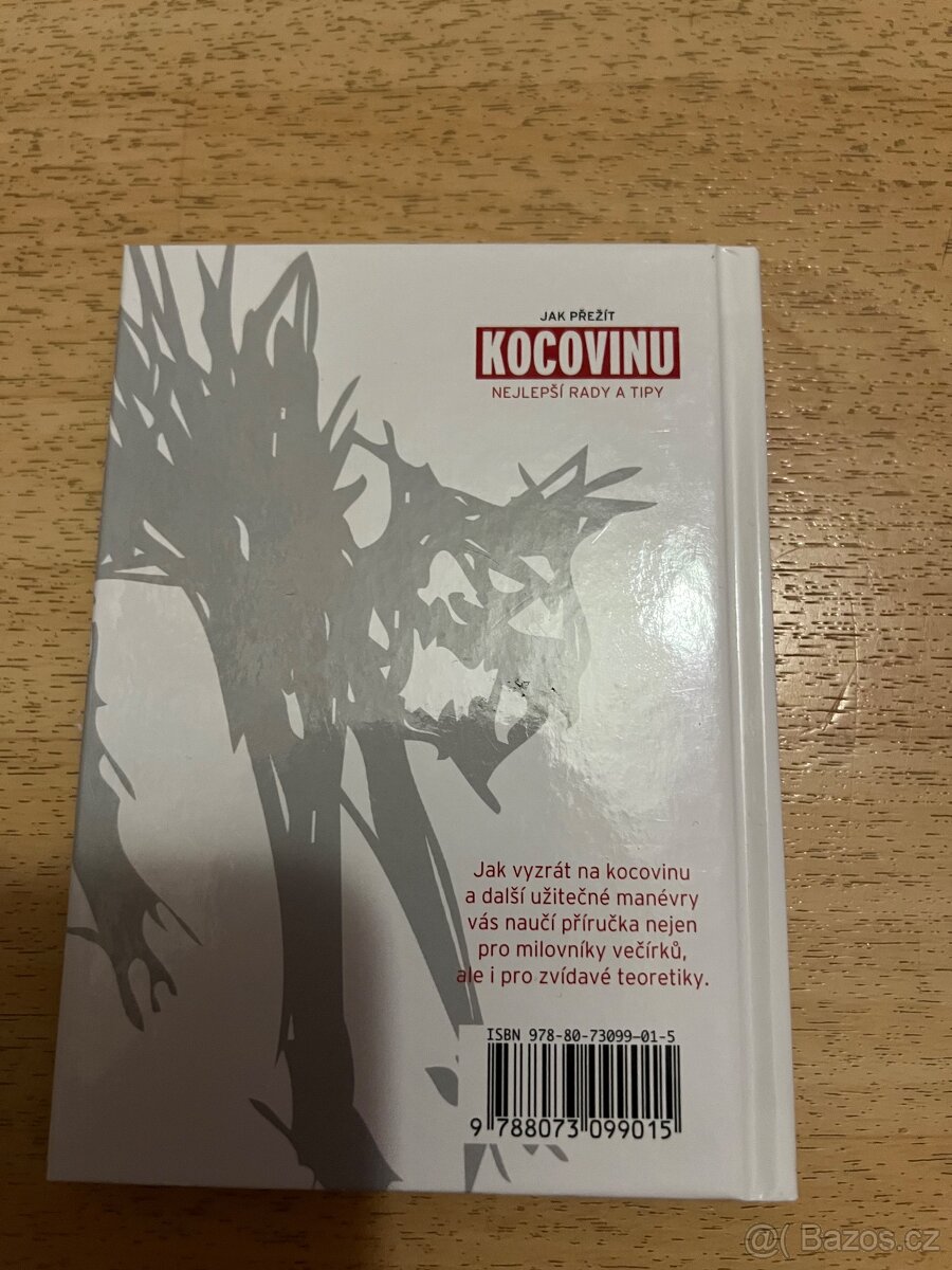 Jak přežít kocovinu - 2