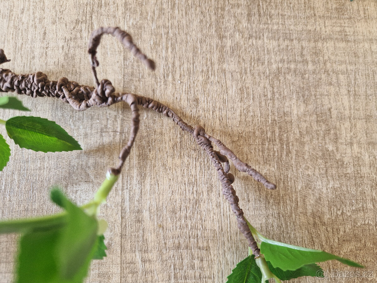 Váza nadčaová +bonsai větev umělá - 2