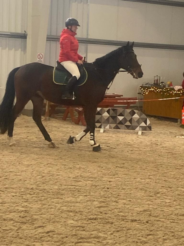 prodám hobby koně - 2