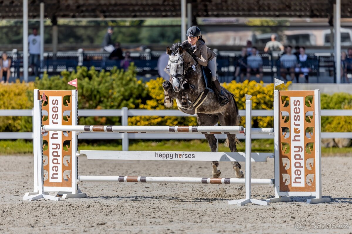 westfalsky valach - 2