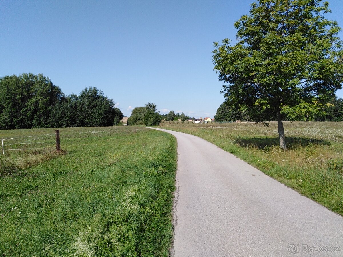 PRONÁJEM POZEMEK ČB - 5000m2 - 2