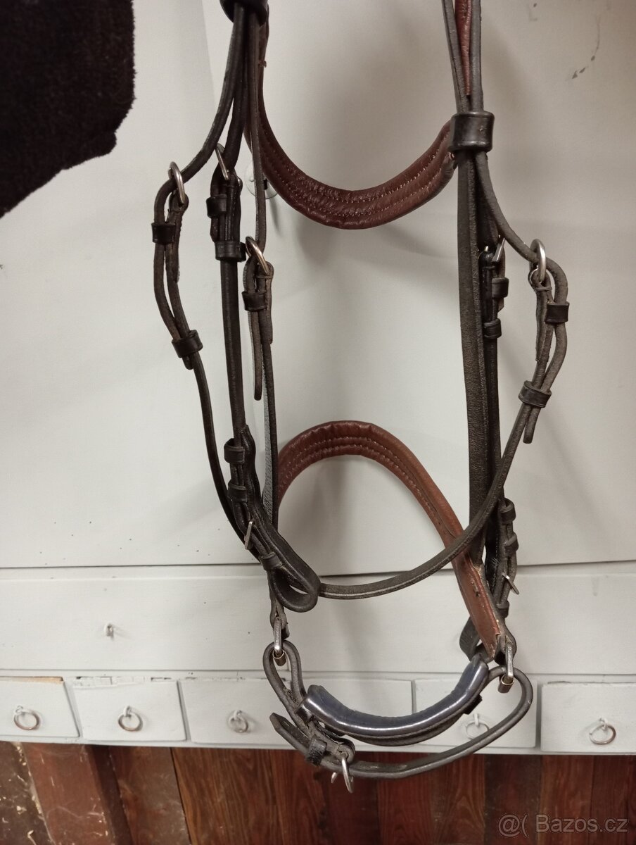 Uzdečka, ohlávka - 2